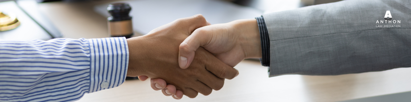 shaking hands to adopt an adult