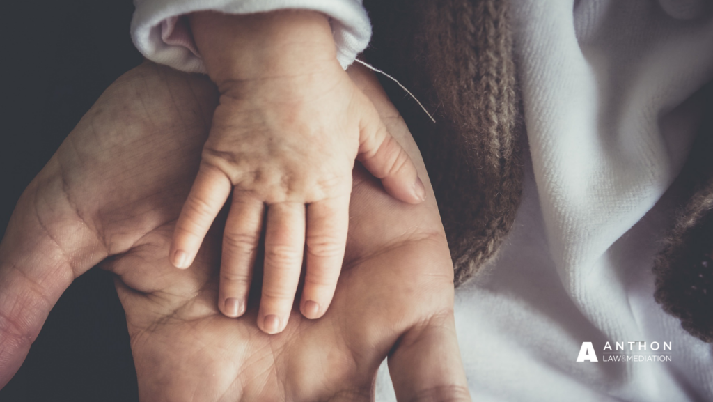 Idaho family law House Bill 629