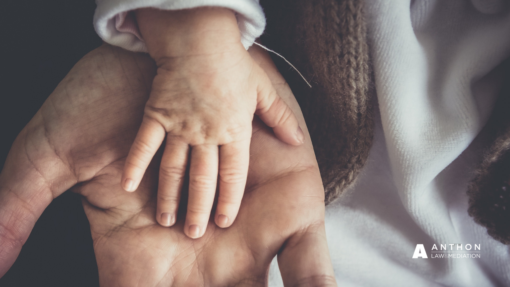 Idaho family law House Bill 629