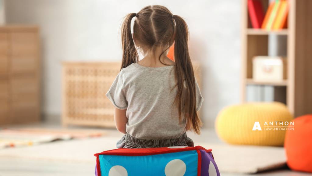 idaho child custody lawyer
