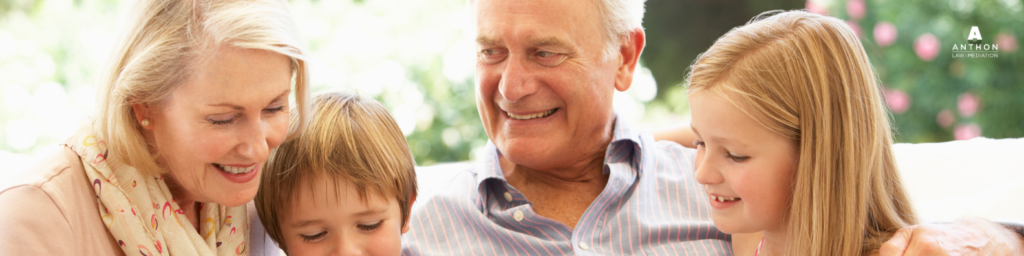 best lawyer in idaho for grandparents