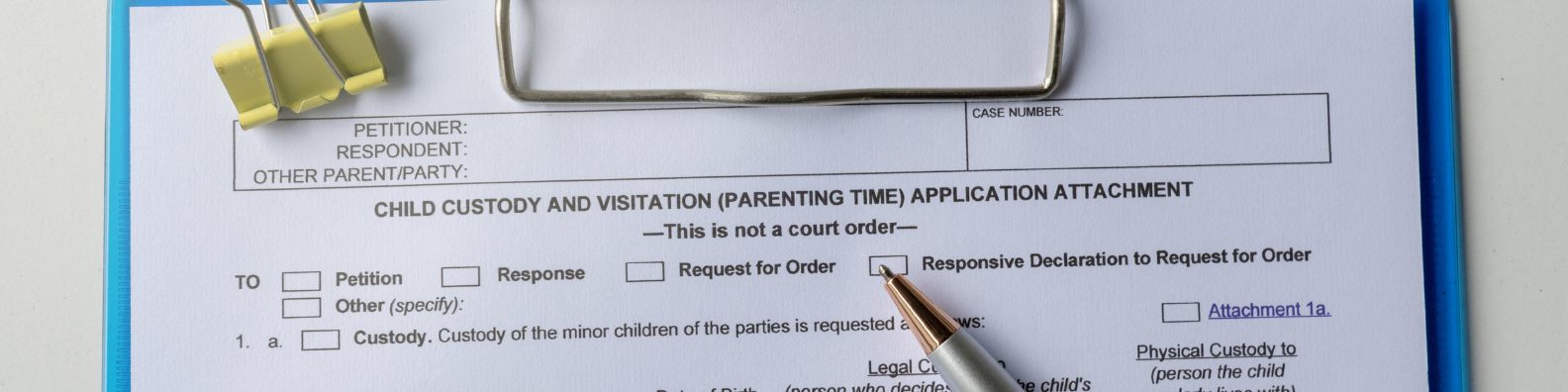 idaho child custody attorney