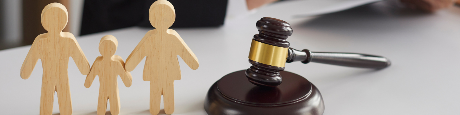 idaho family law attorney