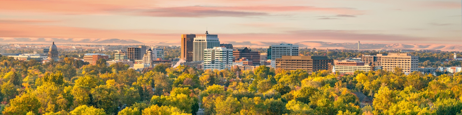 Idaho family law attorney serving Treasure Valley and Southern Idaho