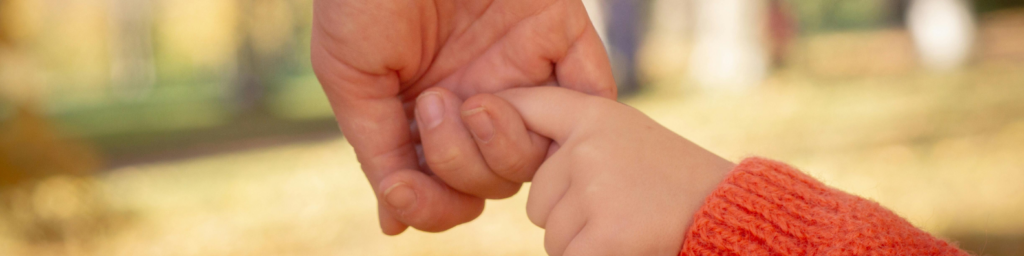 Idaho custody protection order