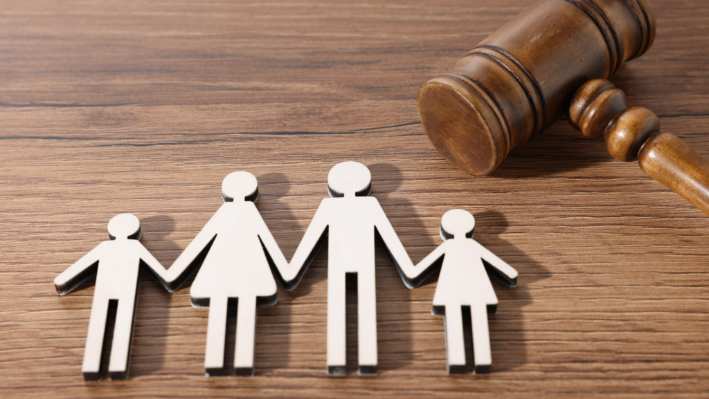 What Happens After Emergency Custody Is Granted in Idaho