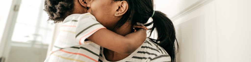 emergency custody lawyer Boise