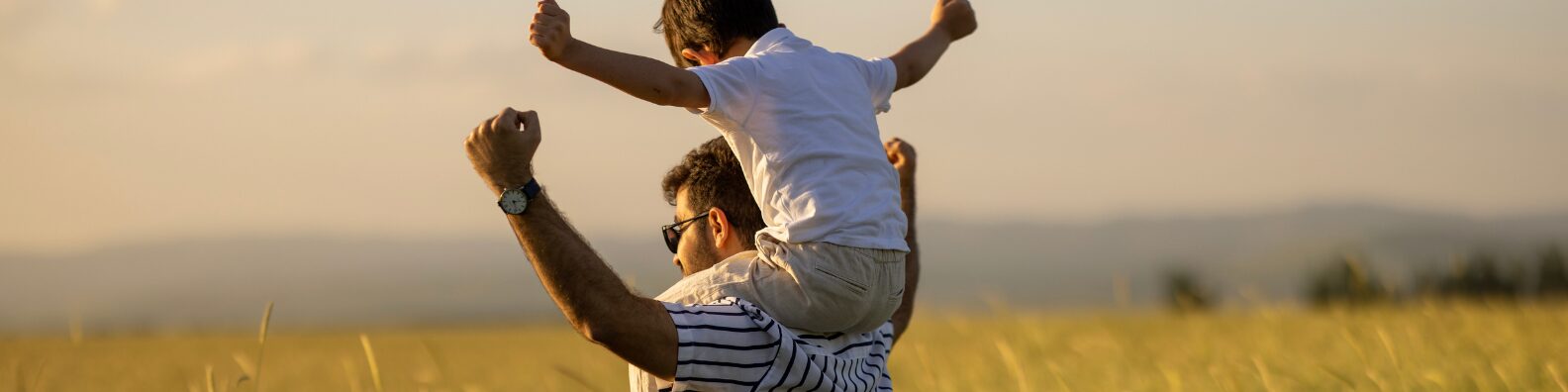 Child custody and parenting plans for unmarried parents in Idaho