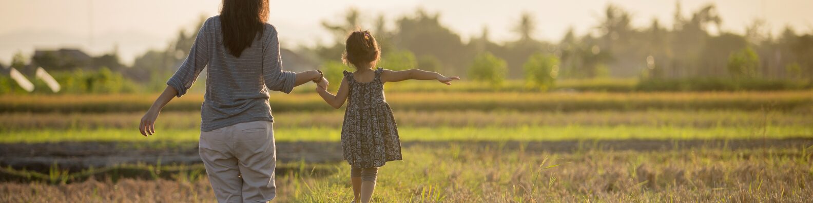 Idaho parenting rights for unmarried mothers and fathers
